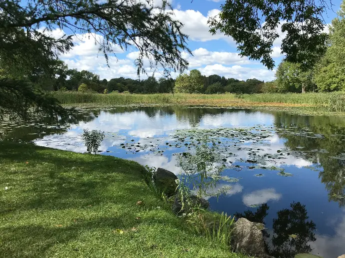 green grass field near lake under blue sky during daytime